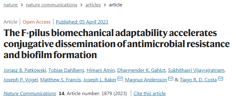 研究發現F-pili幫助細菌更有效地轉移抗性基因并聚集成生物膜 研究發現F-pili幫助細菌更有效地轉移抗性基因并聚集成生物膜