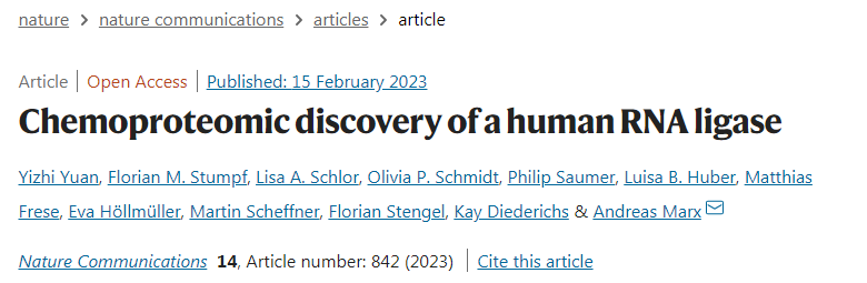 蛋白質C12orf29具有抵抗細胞應激的保護功能 蛋白質C12orf29具有抵抗細胞應激的保護功能