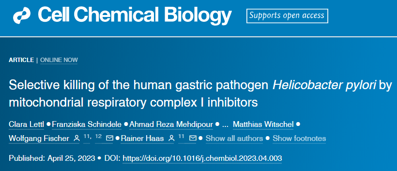 LMU的研究人員發現了幽門螺桿菌的一個弱點，可以用來開發新藥