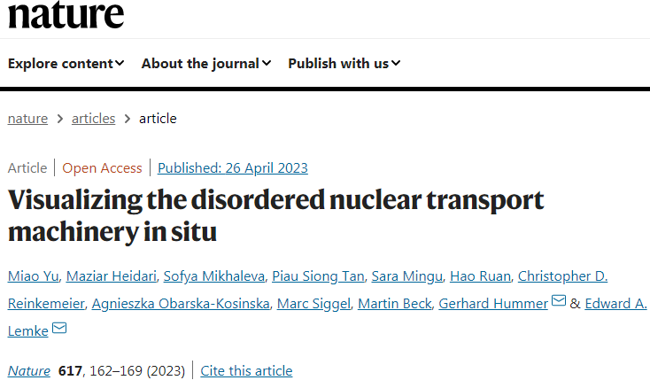 科學家們發現毛孔中心的內在無序蛋白質是如何形成移動屏障