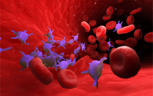 血小板聚集功能檢測——誘聚劑