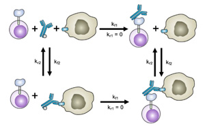 新SNAPtag技術定制基于T細胞的免疫療法