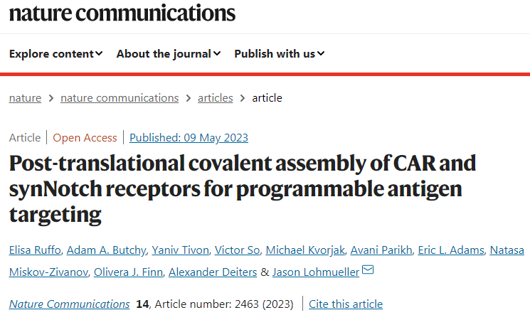 對T細胞進行工程化,使其受體帶有通用的“SNAPtag” 對T細胞進行工程化,使其受體帶有通用的“SNAPtag”