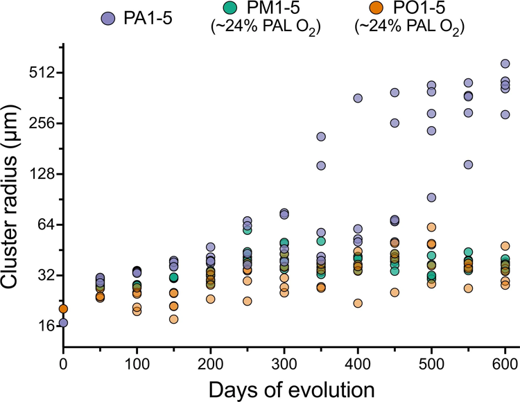 每個群體和治療組的大小演變的時間動力學