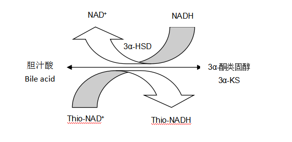 總膽汁酸（TBA）檢測(cè)原理