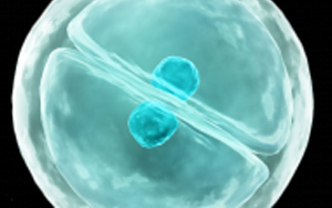 eLife：細(xì)胞真是“成精了”，它能模仿人類交流方式，一旦“關(guān)系”破裂，癌癥和糖尿病都找上門