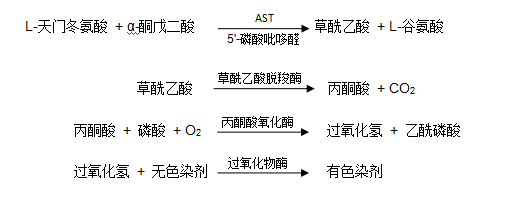 谷草轉氨酶(AST/GOT)檢測原理 谷草轉氨酶(AST/GOT)檢測原理