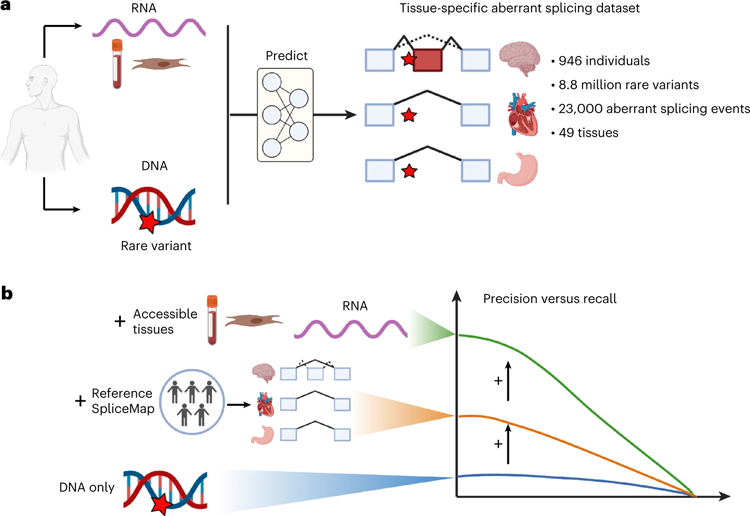 研究設計和主要發現