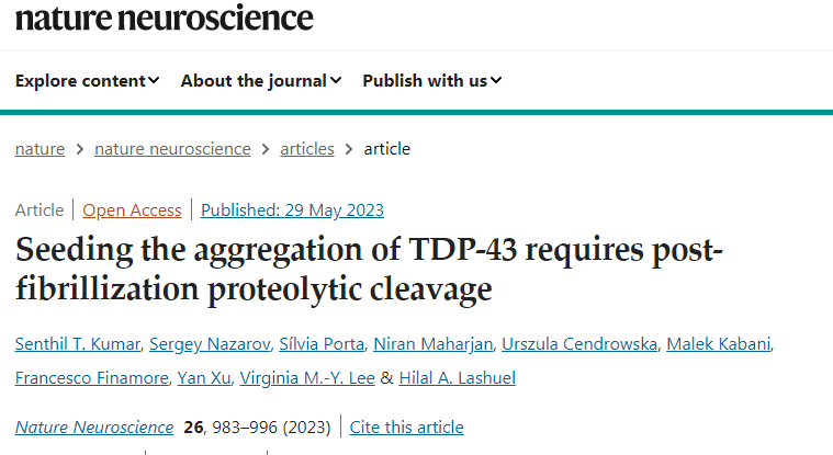 科學家們重現了在患有盧伽雷氏病和其他神經系統疾病的患者大腦中發現的病理蛋白聚集體的關鍵特征 科學家們重現了在患有盧伽雷氏病和其他神經系統疾病的患者大腦中發現的病理蛋白聚集體的關鍵特征