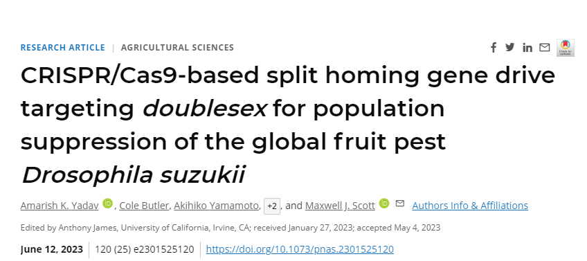 研究人員已經開發出一種基于CRISPR/Cas9的歸巢基因驅動系統 研究人員已經開發出一種基于CRISPR/Cas9的歸巢基因驅動系統