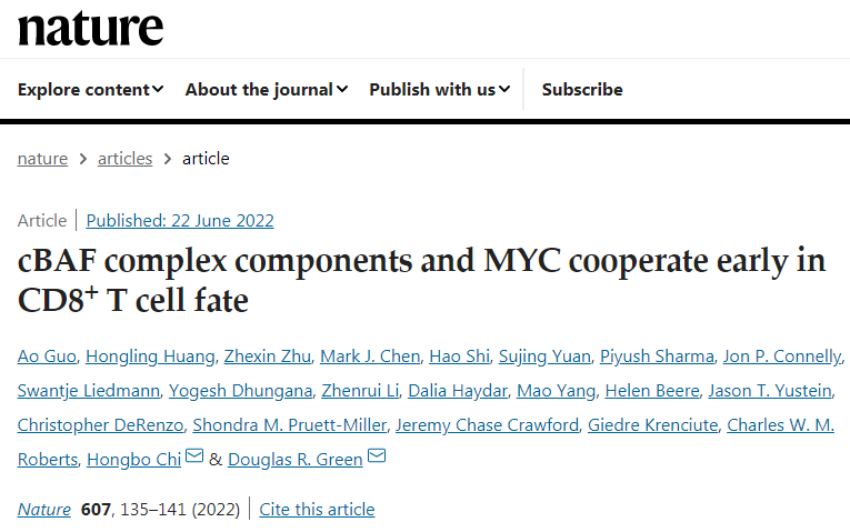 研究團(tuán)隊發(fā)現(xiàn)cBAF蛋白質(zhì)復(fù)合物可控制T細(xì)胞的命運(yùn)