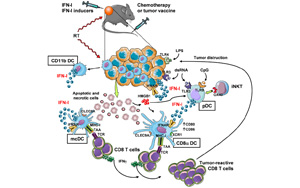 Science | 重要發現！斯坦福大學巧妙改造皮膚細菌，激活免疫助力抗癌