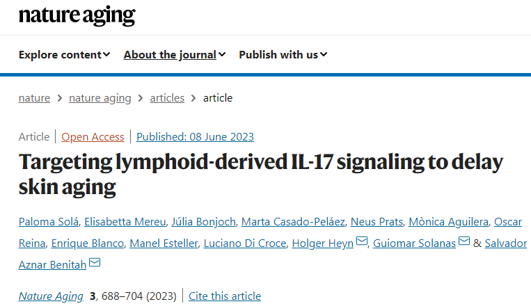 研究人員發現IL-17蛋白是皮膚衰老的決定性因素