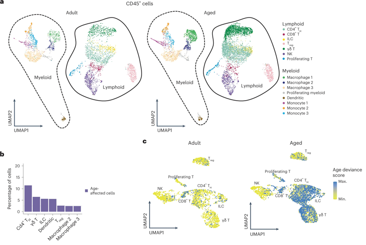 淋巴免疫細胞亞群顯示IL-17A/F相關信號傳導增加