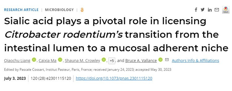 研究表明，腸道細菌感染和一系列與腸道細菌有關的慢性疾病都有可能成為治療目標