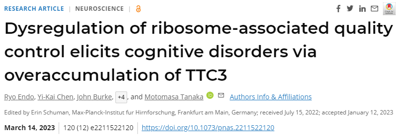 研究人員首次明確了細胞中蛋白質合成過程中的質量控制與神經系統疾病之間的聯系