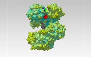 Nature解開一種蛋白質，研發一種新的生物技術工具