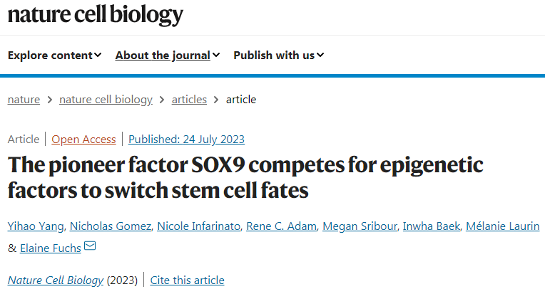 研究發現SOX9控制著遺傳信息從DNA到mRNA的傳遞