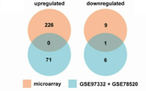 抑制肝癌轉(zhuǎn)移的新機制