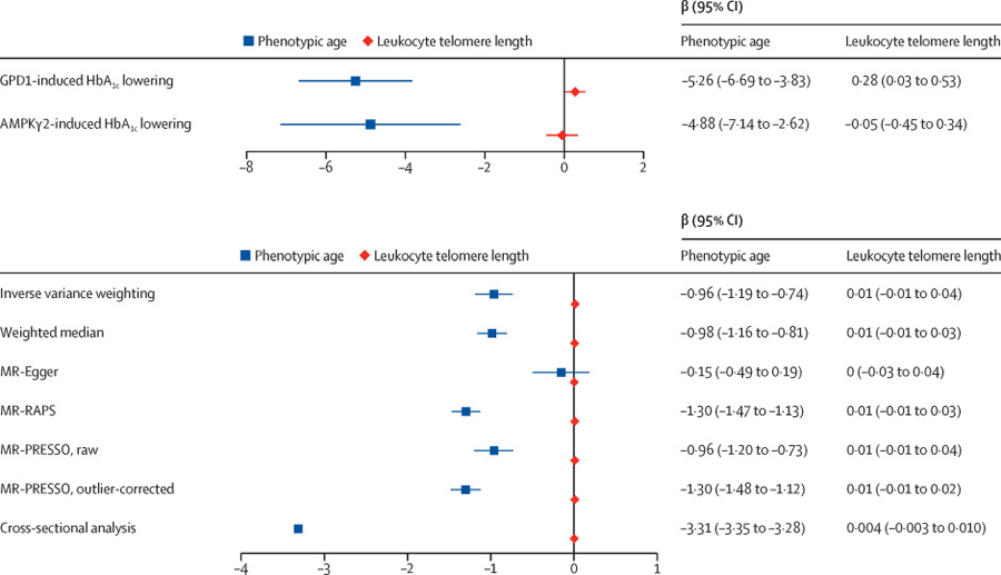 雙內含子靶向CRISPR-Cas9介導RUNX1-RUNX1T1的破壞