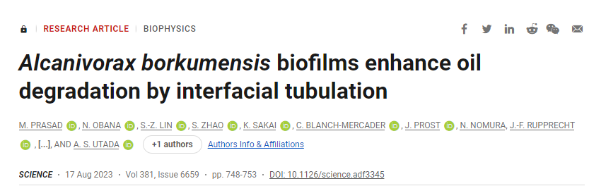 研究揭示了特殊細菌如何優化油的生物降解和消耗