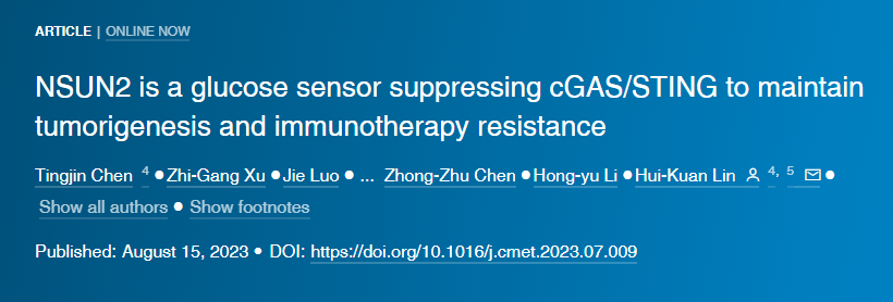 葡萄糖/NSUN2維持TREX2的表達以激發致癌活性