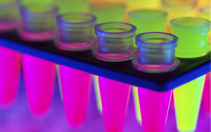 藻紅蛋白（R-Phycoerythrin, R-PE）——新型熒光標記染料