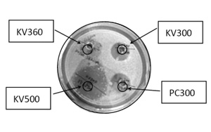 KroVin 500長效廣譜防霉抗菌劑