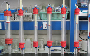 層析介質在疫苗純化中的應用