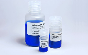 別藻藍(lán)蛋白（Allophycocyanin, APC)——超敏熒光染料