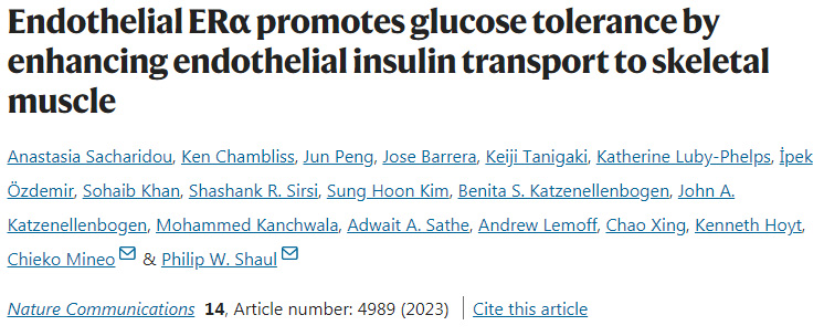 ERα通過加強內皮胰島素向骨骼肌的轉運改善葡萄糖耐受 ERα通過加強內皮胰島素向骨骼肌的轉運改善葡萄糖耐受