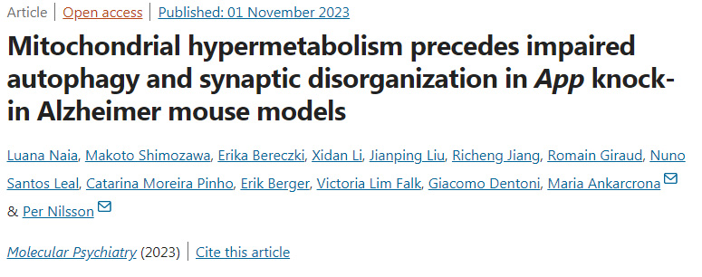 腸道細菌產(chǎn)生的短鏈脂肪酸(SCFAs)負責啟動樹突細胞向腸腔延伸