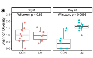 研究揭示了營養不良和抗生素耐藥性上升之間的驚人聯系