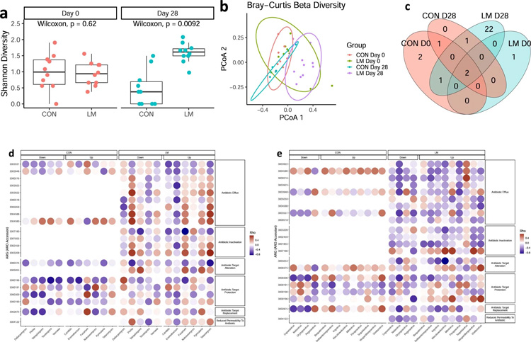微量營養素缺乏小鼠的抗生素耐藥性擴大