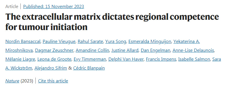 細胞外基質決定腫瘤發生的區域