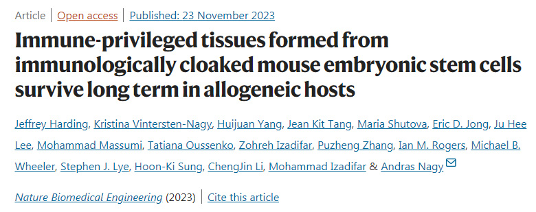免疫隱形小鼠胚胎干細胞形成的免疫特權組織在異基因宿主中長期存活