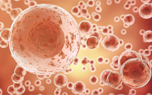 破解密碼：首次發現TP53突變蛋白的哪些特征對推動癌癥生長至關重要