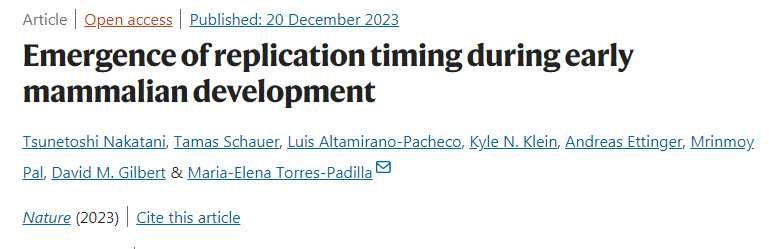 哺乳動物早期發育過程中復制時機的出現 哺乳動物早期發育過程中復制時機的出現