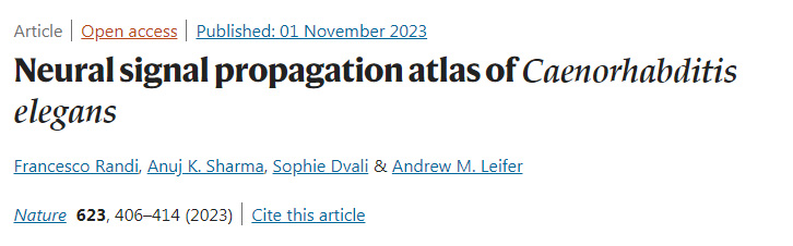 秀麗隱桿線蟲的神經信號傳播圖譜