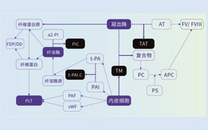 血栓調節蛋白（TM）-磁微?；瘜W發光法（AE/AP）解決方案