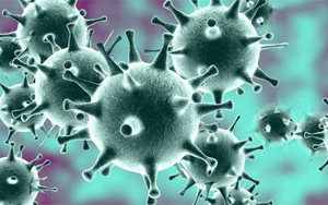 感染318天，體內變異40次！COVID-19病例揭示新冠病毒的“超級進化史”