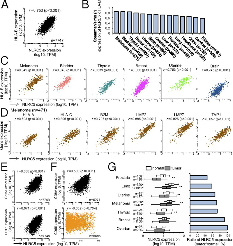 NLRC5和MHC I類基因表達與人類癌癥相關