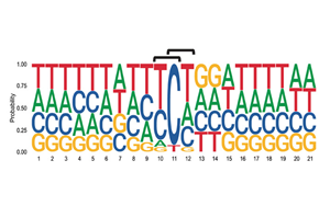 6次入院治療！連漫威英雄“金剛狼”都畏懼的這種癌癥，到底因何而起？