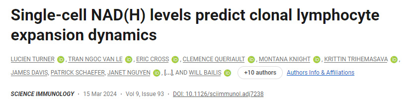 單細胞NAD（H）水平預測克隆性淋巴細胞擴增動力學