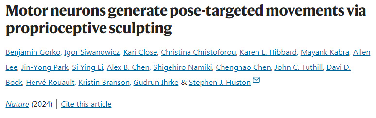 運動神經元通過本體感覺產生姿勢定向運動