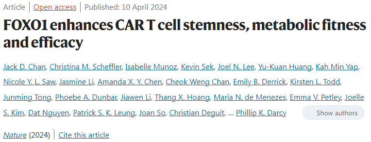 發育中的哺乳動物大腦皮層中的多個平行細胞系