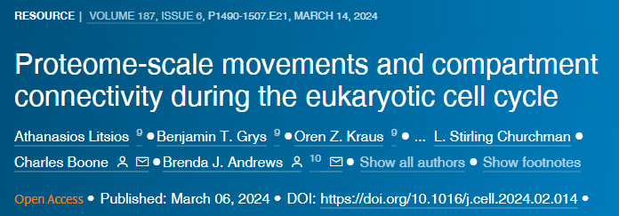 真核細胞周期中蛋白質組規模的運動和隔室連接