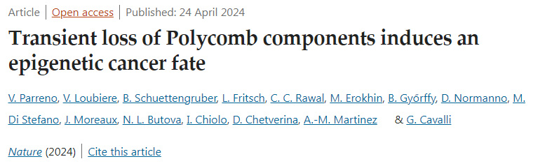 多梳蛋白的瞬時(shí)缺失誘發(fā)表觀遺傳性癌癥