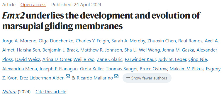 Emx2是有袋類滑翔膜發(fā)育和進化的基礎(chǔ)