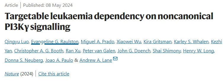 可靶向治療白血病對非經典PI3Kγ信號傳導的依賴性